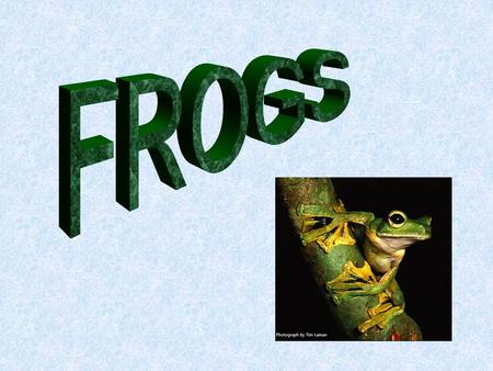 FROGS.