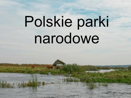 Polskie parki narodowe.