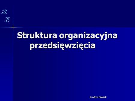 Struktura organizacyjna przedsięwzięcia