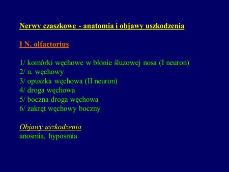 Nerwy czaszkowe - anatomia i objawy uszkodzenia I N. olfactorius