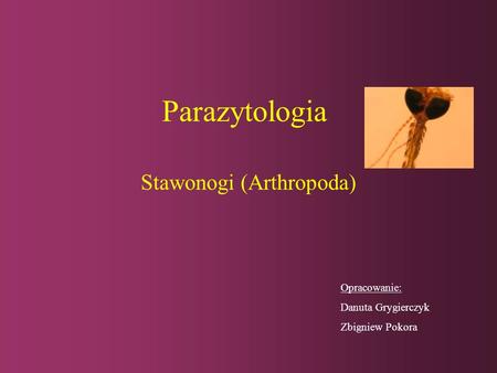 Stawonogi (Arthropoda)