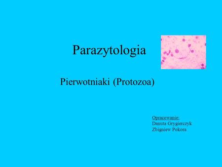 Pierwotniaki (Protozoa)