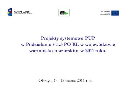 Projekty systemowe PUP w Podziałaniu 6.1.3 PO KL w województwie warmińsko-mazurskim w 2011 roku. Olsztyn, 14 -15 marca 2011 rok.