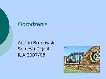 Adrian Bronowski Semestr I gr 4 R.A 2007/08