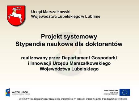 Projekt systemowy Stypendia naukowe dla doktorantów realizowany przez Departament Gospodarki i Innowacji Urzędu Marszałkowskiego Województwa Lubelskiego.