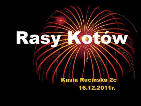 Rasy Kotów Kasia Rucińska 2c 16.12.2011r..