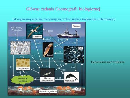 Główne zadania Oceanografii biologicznej