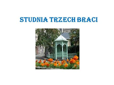 STUDNIA TRZECH BRACI. A long time ago, where now you can find a charming town of Cieszyn, there was a thick and vast forest. One day three brothers came.