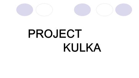 PROJECT KULKA. Plan prezentacji Pomysł Realizacja Demonstracji prototypu.