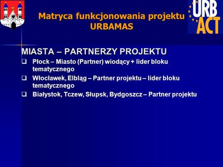 MIASTA – PARTNERZY PROJEKTU Płock – Miasto (Partner) wiodący + lider bloku tematycznego Włocławek, Elbląg – Partner projektu – lider bloku tematycznego.