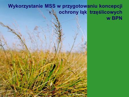Fot.: W. Kotowski Wykorzystanie MSS w przygotowaniu koncepcji ochrony łąk trzęślicowych w BPN.