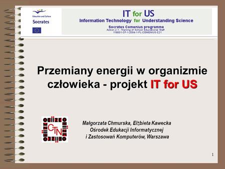 Przemiany energii w organizmie człowieka - projekt IT for US