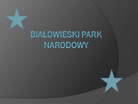 Białowieski park narodowy