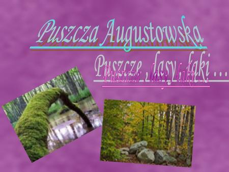 Puszcza Augustowska Puszcze , lasy , łąki ….