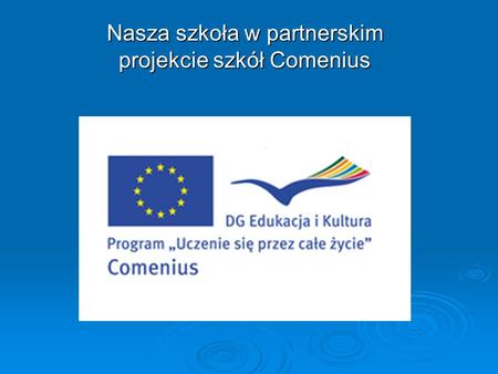 Nasza szkoła w partnerskim projekcie szkół Comenius