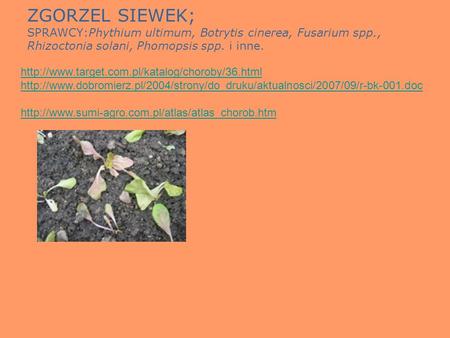 ZGORZEL SIEWEK; SPRAWCY:Phythium ultimum, Botrytis cinerea, Fusarium spp., Rhizoctonia solani, Phomopsis spp. i inne. http://www.target.com.pl/katalog/choroby/36.html.