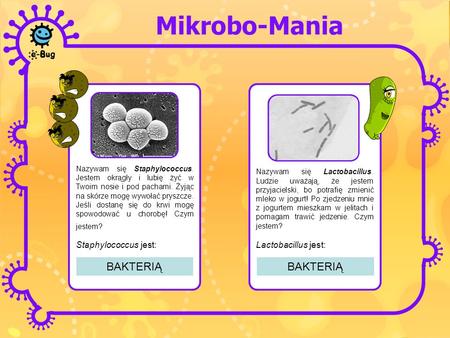 Mikrobo-Mania BAKTERIĄ BAKTERIĄ Staphylococcus jest: