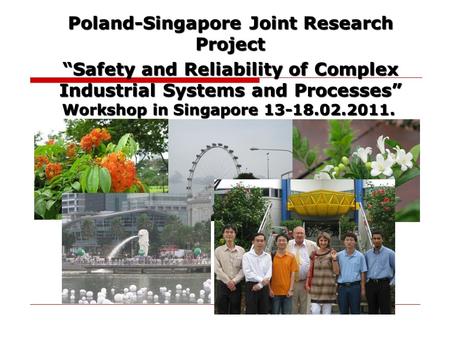 Poland-Singapore Joint Research Project
