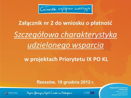 Załącznik nr 2 do wniosku o płatność Szczegółowa charakterystyka udzielonego wsparcia w projektach Priorytetu IX PO KL Rzeszów, 19 grudnia 2012 r.