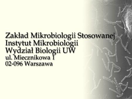 Prof. dr hab. Jacek Bielecki – kierownik     (22)