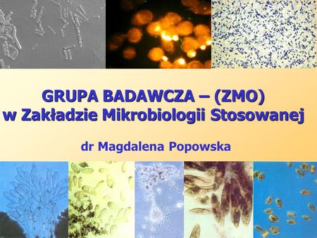 GRUPA BADAWCZA – (ZMO) w Zakładzie Mikrobiologii Stosowanej