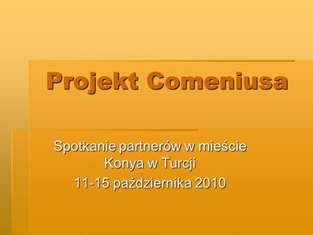 Projekt Comeniusa Spotkanie partnerów w mieście Konya w Turcji 11-15 października 2010.
