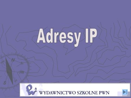 Adresy IP.