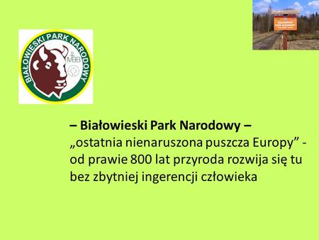 – Białowieski Park Narodowy – „ostatnia nienaruszona puszcza Europy” - od prawie 800 lat przyroda rozwija się tu bez zbytniej ingerencji.