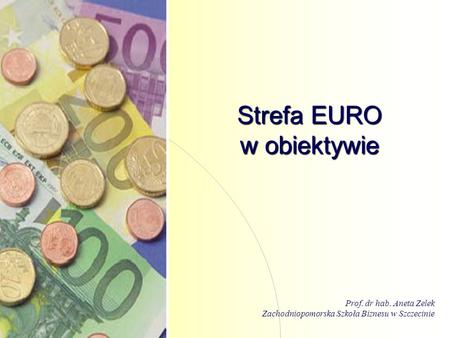 Strefa EURO w obiektywie