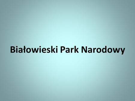 Białowieski Park Narodowy
