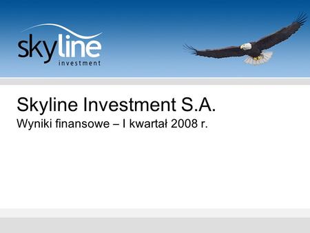 Skyline Investment S.A. Wyniki finansowe – I kwartał 2008 r.