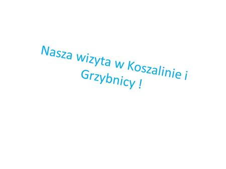 Nasza wizyta w Koszalinie i Grzybnicy !. 19 października 2012 roku Poszukiwacze zaginionego GRYFA wybrali się do Koszalina gdzie spotkali się archeologiem.