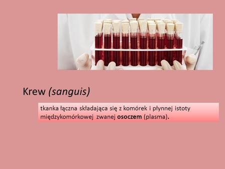 Krew (sanguis) tkanka łączna składająca się z komórek i płynnej istoty międzykomórkowej zwanej osoczem (plasma).