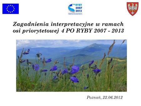 Zagadnienia interpretacyjne w ramach osi priorytetowej 4 PO RYBY 2007 - 2013 Poznań, 22.06.2012.
