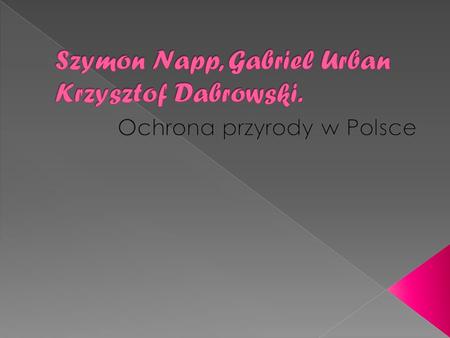 Szymon Napp, Gabriel Urban Krzysztof Dabrowski.