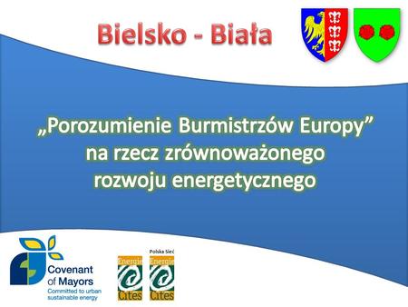 Polska Sieć. 2t węgla CO - ok. 4t 10% CO Prezydent Miasta Biuro zarządzania energią Pełnomocnik Prezydenta Miasta ds. Zarządzania Energią Stanowisko.