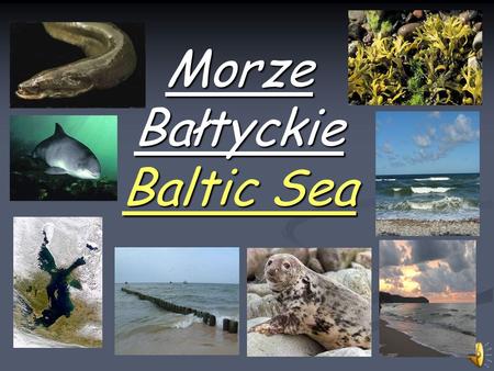 Morze Bałtyckie Baltic Sea