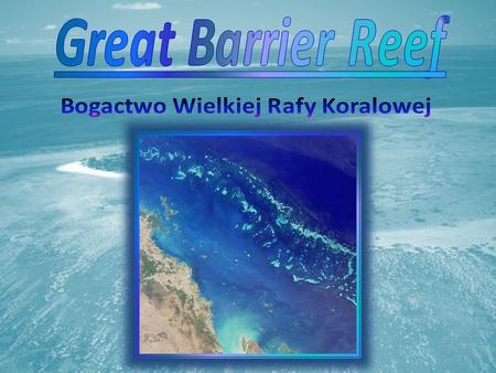 Great Barrier Reef Bogactwo Wielkiej Rafy Koralowej.