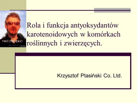 Krzysztof Ptasiński Co. Ltd.