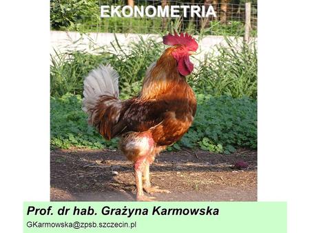 EKONOMETRIA Prof. dr hab. Grażyna Karmowska