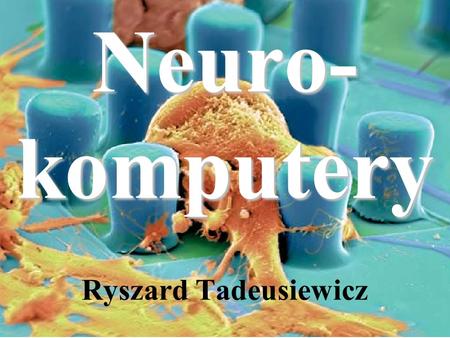 Neuro-komputery Ryszard Tadeusiewicz.