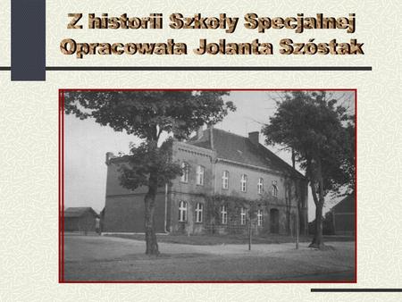 Publiczna Szkoła Powszechna Nr 6 /Specjalna/ Ogród szkolny.