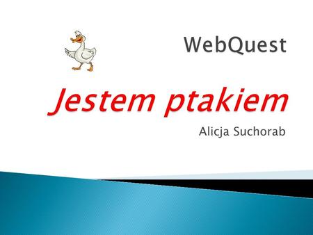 WebQuest Jestem ptakiem