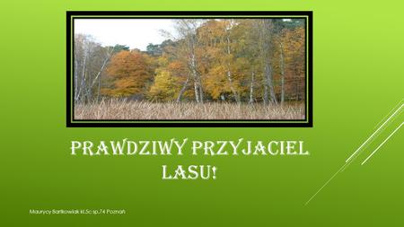 PRAWDZIWY PRZYJACIEL LASU! Maurycy Bartkowiak kl.5c sp.74 Poznań.