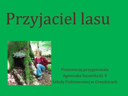 Przyjaciel lasu Prezentację przygotowała Agnieszka Szczerba kl. V