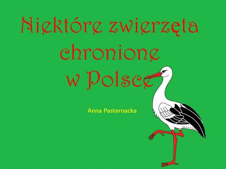 Niektóre zwierzęta chronione w Polsce