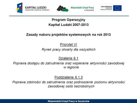 Wojewódzki Urząd Pracy w Szczecinie Program Operacyjny Kapitał Ludzki 2007-2013 Zasady naboru projektów systemowych na rok 2013 Priorytet VI Rynek pracy.