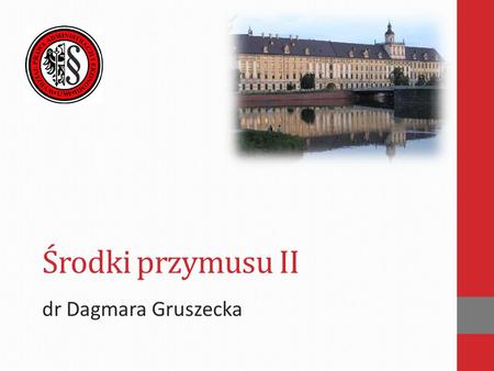 Środki przymusu II dr Dagmara Gruszecka.