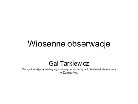 Wiosenne obserwacje Gai Tarkiewicz