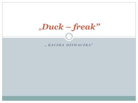 „Duck – freak” „ Kaczka Dziwaczka”.